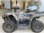 Vendo Cuasiclon CFORCE 450S
