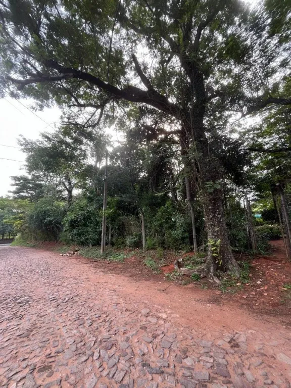 VENDO TERRENO EN EL CENTRO DE VILLA ELISA CENTRO, SOBRE LA AVENIDA VON POLESKI — Foto 2