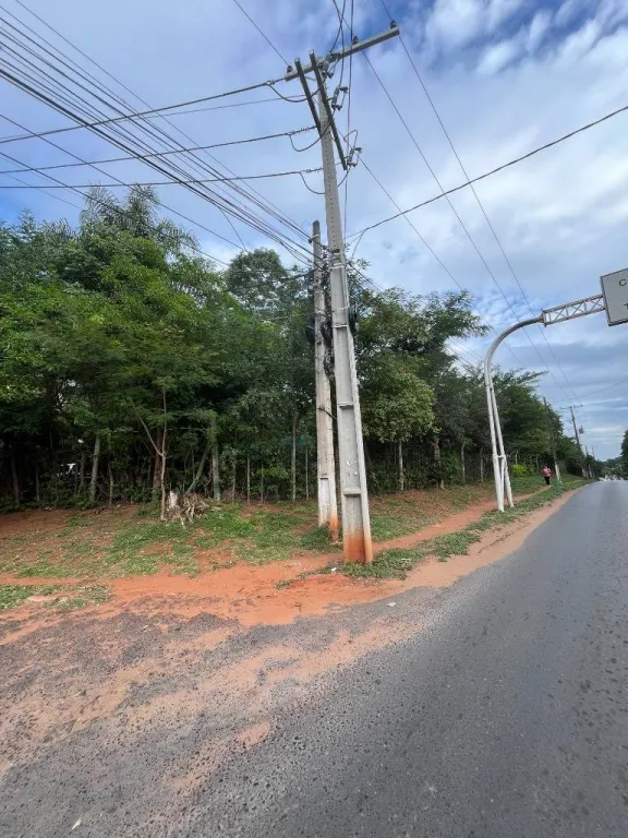 VENDO TERRENO EN EL CENTRO DE VILLA ELISA CENTRO, SOBRE LA AVENIDA VON POLESKI — Foto 3