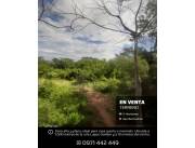 5 HECTÁREAS EN SAN BERNARDINO – OFERTA IMPERDIBLE A PRECIO DE REMATE