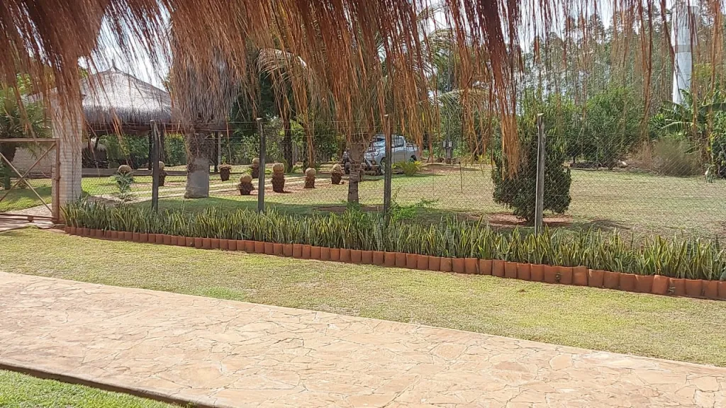 PIRIBEBUY, CORDILLERA: 5 HAS, GRANJA AVÍCOLA MODELO, EN FUNCIONAMIENTO, ALTAMENTE RENTABLE — foto 3