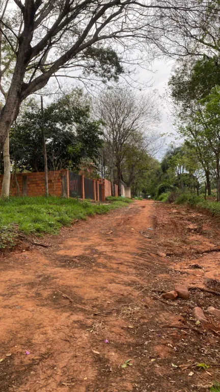 VENDO TERRENO EN LUQUE CAÑADA GARAY!!! — foto 3