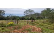 Vendo campo en Yaguaron 15 Ha.