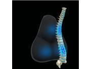 COJIN DE SOPORTE LUMBAR THERABACK TM325