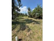 En Venta Terreno Ciervo Cuá San Bernardino ID 40220