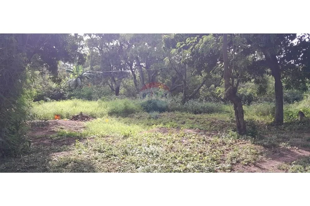 ATENCIÓN INVERSIONISTAS! Importante propiedad en venta en Areguá. Dimensión 28 hectáreas — фото 2
