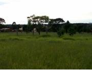 VENDO TERRENO DE 1080 M2 EN PEDRO JUAN CABALLERO