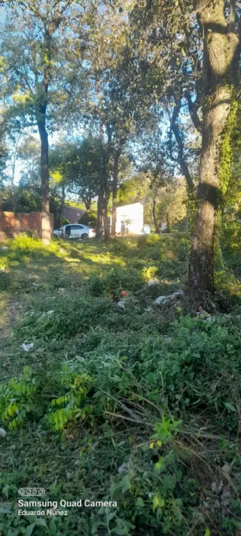 Hermoso terreno en Emboscada!!! — foto 3