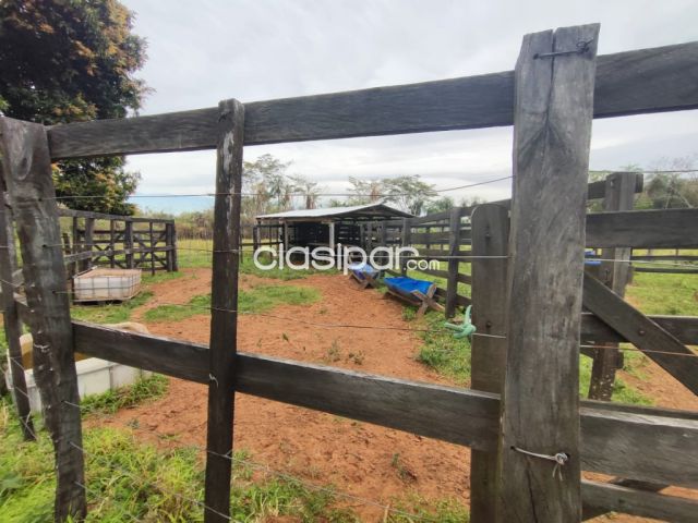 Propiedades rurales - VENDO PROPIEDAD RURAL