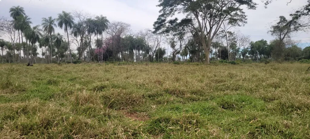 VENDO PROPIEDAD RURAL — foto 3