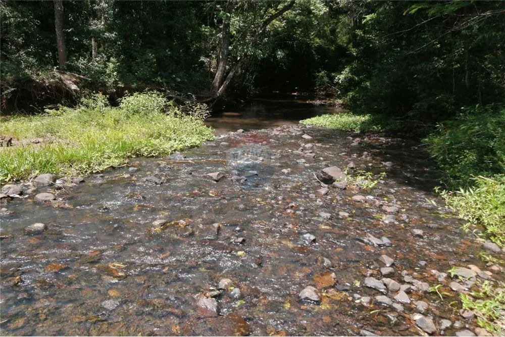 VENDO CAMPO ZONA CAMBYRETA CENTRO — foto 3