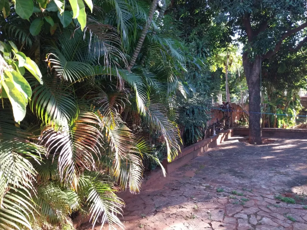 Vendo casa a refaccionar o demoler en Cuarto Barrio Luque — foto 2