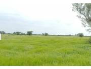 Vendo a tranquera cerrada Estancia de 31.677 hectareas en Alto Paraguay