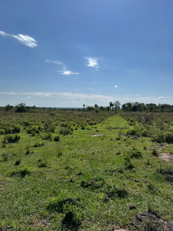 Vendo terreno 250 has, Loma Grande, Cordillera — foto 2