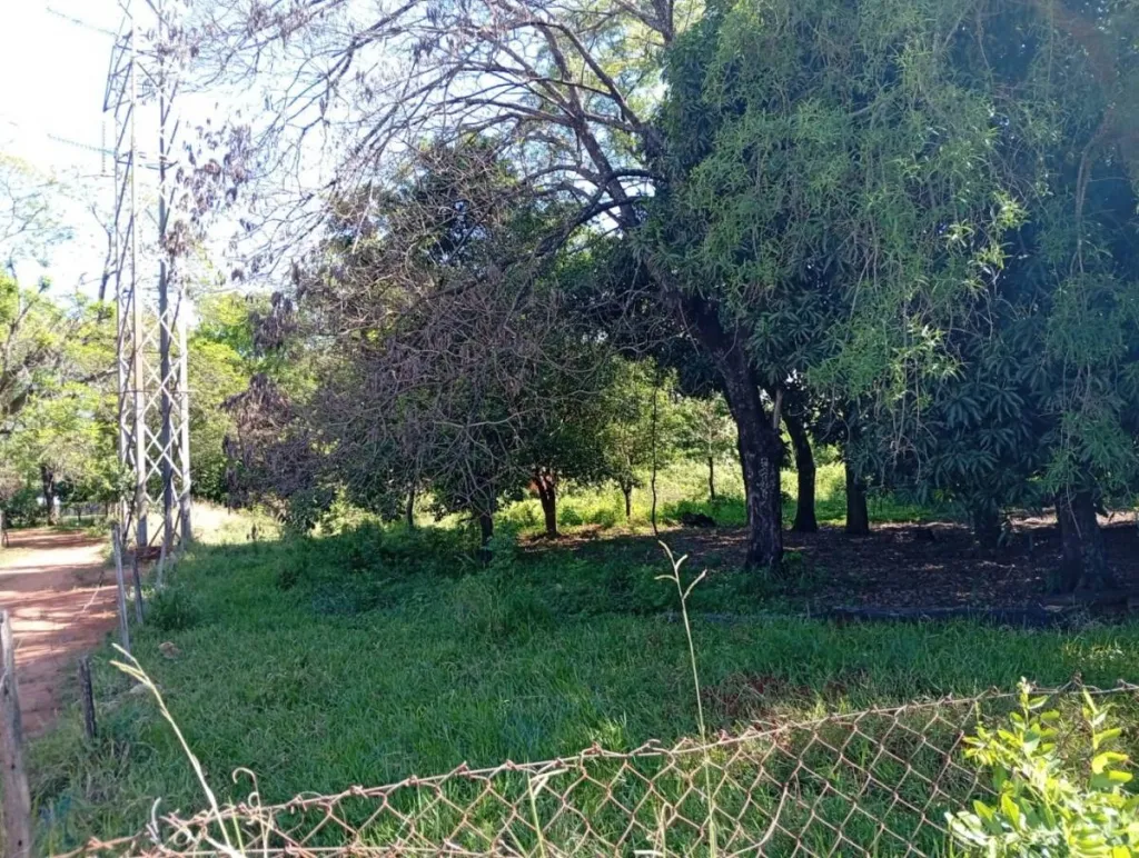 En Venta Terreno Isla Bogado Luque ID 40439 — foto 2