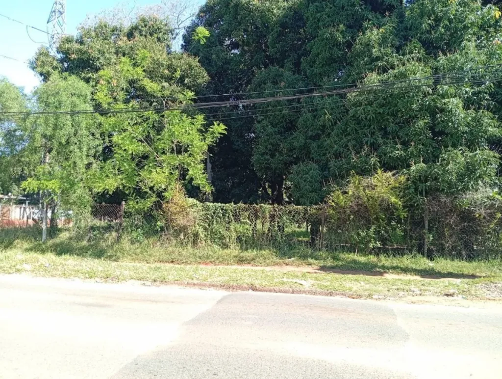 En Venta Terreno Isla Bogado Luque ID 40439 — foto 3
