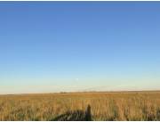 GRAN ESTANCIA EN VENTA – MISIONES, PARAGUAY