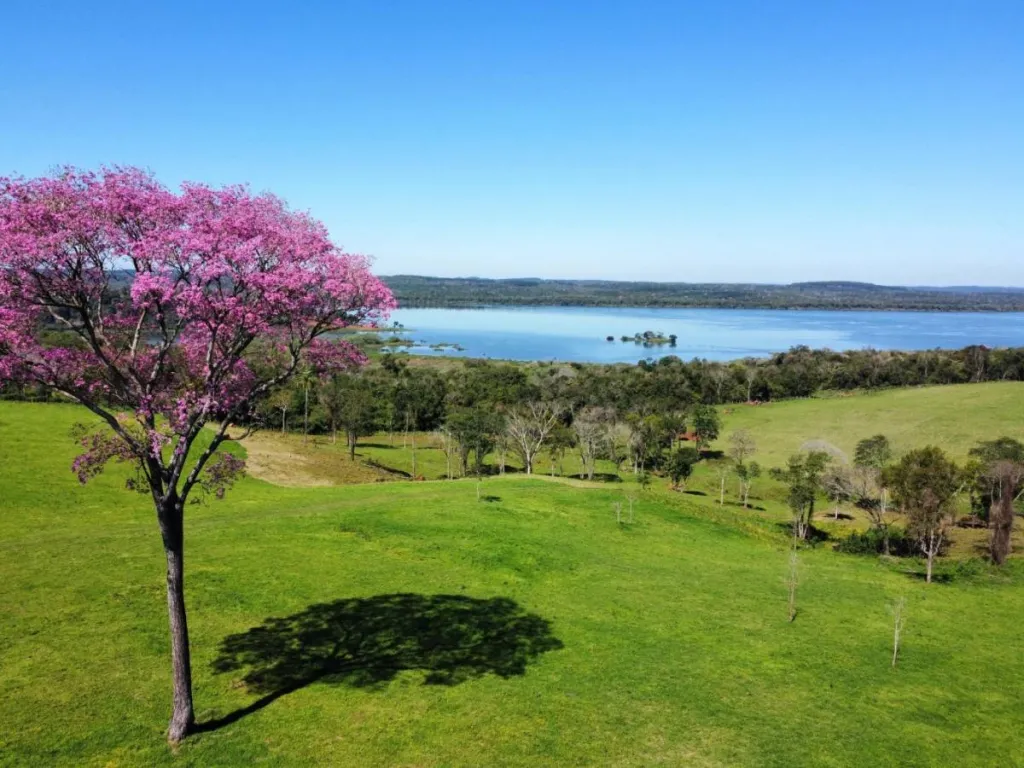 Vendo Terrenos con Espectacular Vista al Río Paraná en Bella Vista — foto 3
