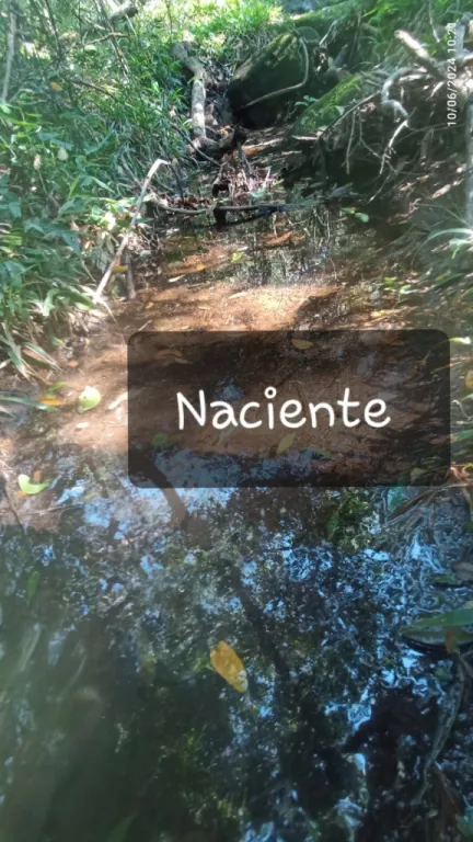 Cedo Derechera — foto 2