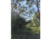 VENDO TERRENO EN LIMPIO
