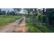 VENDO 28 HECTAREAS EN AREGUA ZONA ESTANZUELA