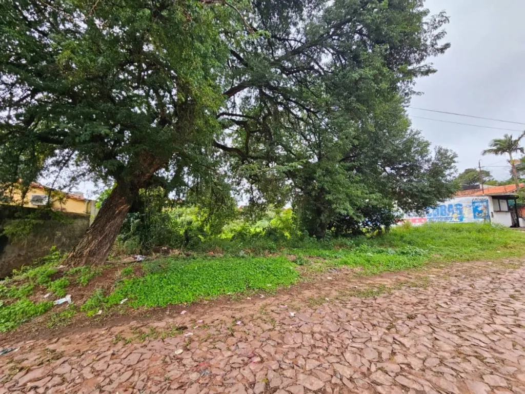 VENDO TERRENO EN SAN CARLOS ÑEMBY_G 240.000.000 — foto 2