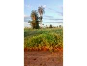 5 HA. DE CAMPO EN ARROYOS Y ESTEROS - ZONA COMPAÑIA URUNDEY