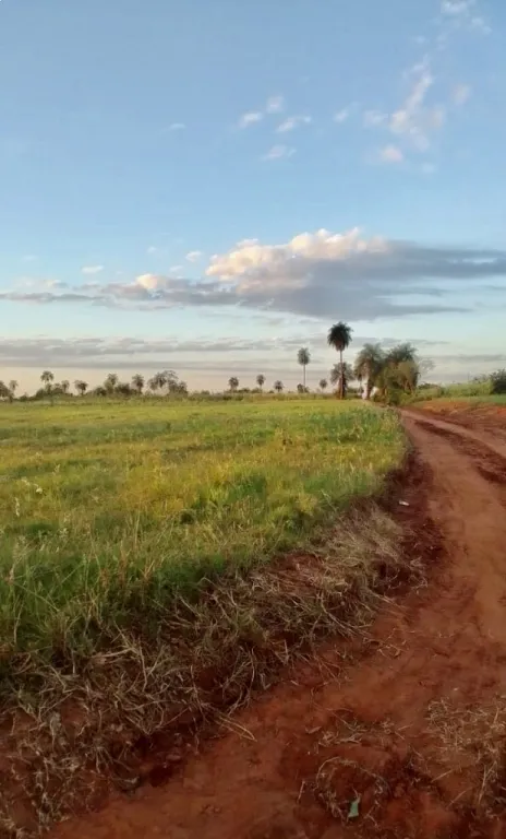 5 HA. DE CAMPO EN ARROYOS Y ESTEROS - ZONA COMPAÑIA URUNDEY — foto 2