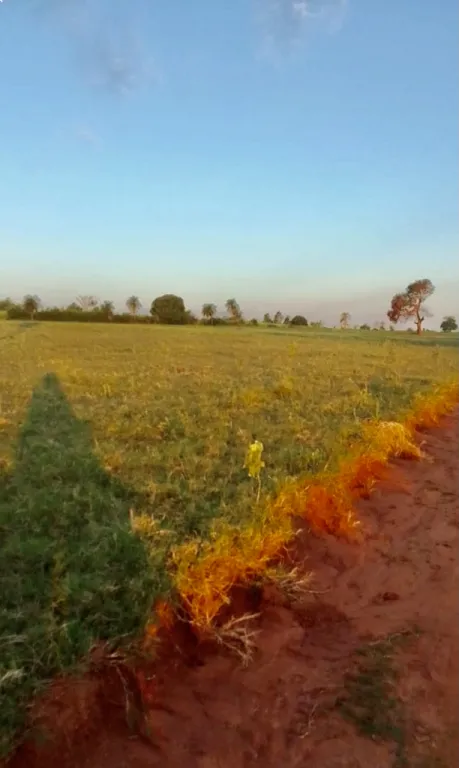 5 HA. DE CAMPO EN ARROYOS Y ESTEROS - ZONA COMPAÑIA URUNDEY — foto 3
