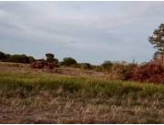 Campo Ganadero en José A. Falcón sobre Ruta 12 - 31 Ha.