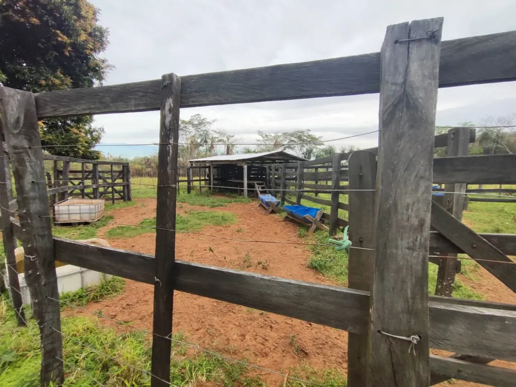 VENDO 15 HECTAREAS EN YAGUARON — foto 3