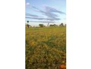 7 HA. 1/2 DE CAMPO EN ARROYOS Y ESTEROS - ZONA URUNDEY