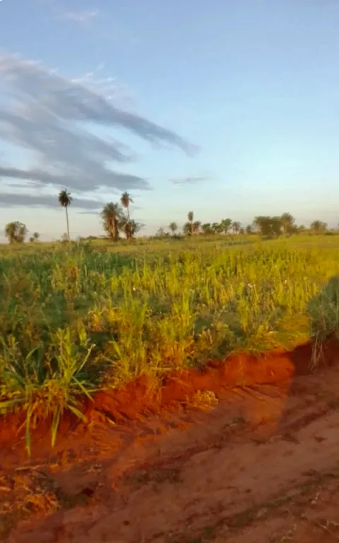 7 HA. 12 DE CAMPO EN ARROYOS Y ESTEROS - ZONA URUNDEY — foto 2