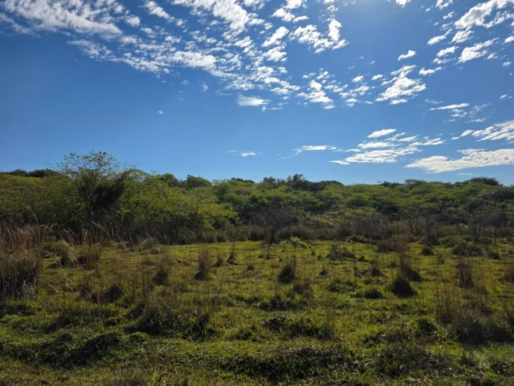 VENDO 117 LOTES EN ITACURUBÍ DE LA CORDILLERA ID38111 — foto 3