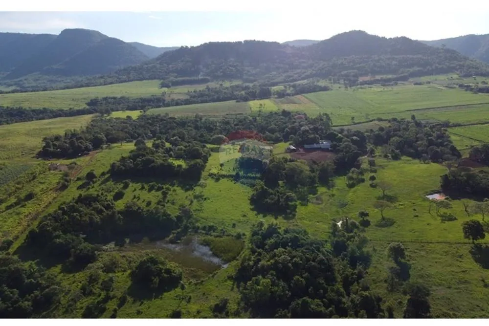 VENDO ESTANCIA CAMPO EN COLONIA INDEPENDENCIA — foto 2