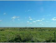 Vendo Campo de 1.263 Hectáreas en Santa Rosa, Misiones - CLCS7375524