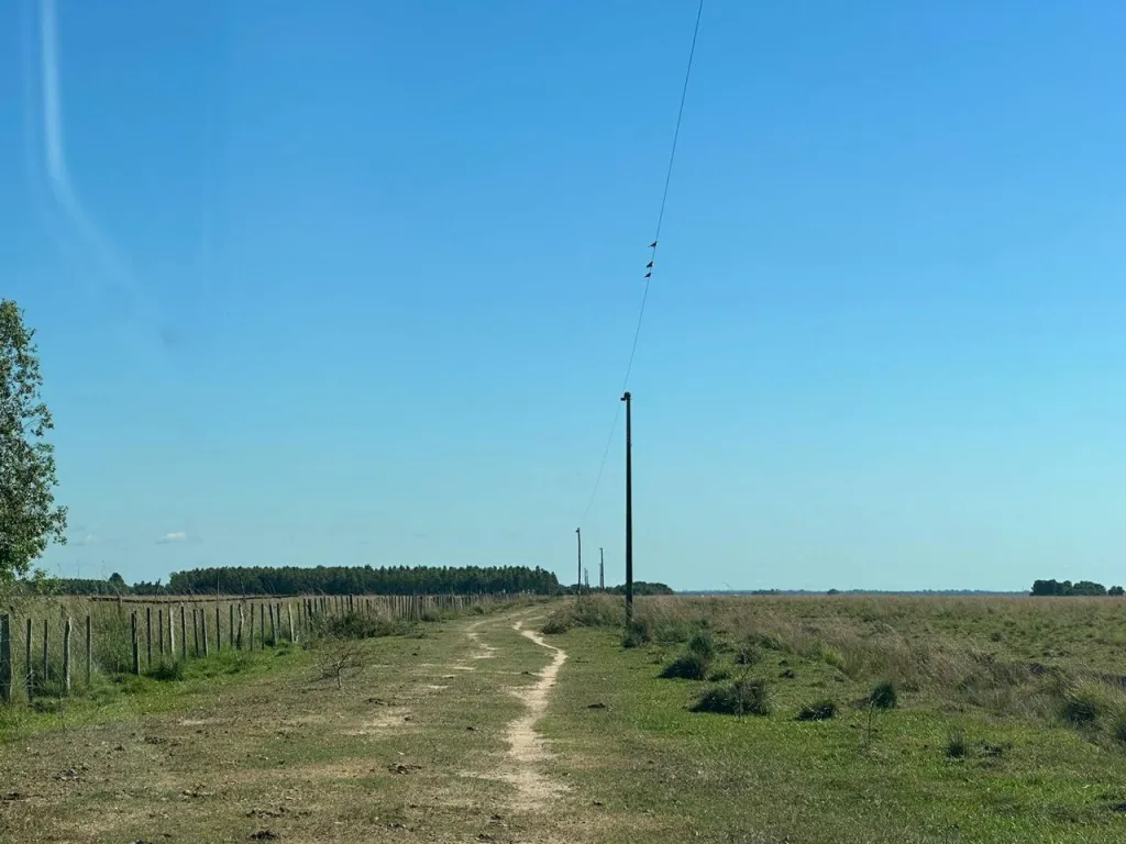 Vendo Campo de 1.263 Hectáreas en Santa Rosa, Misiones - CLCS7375524 — foto 2