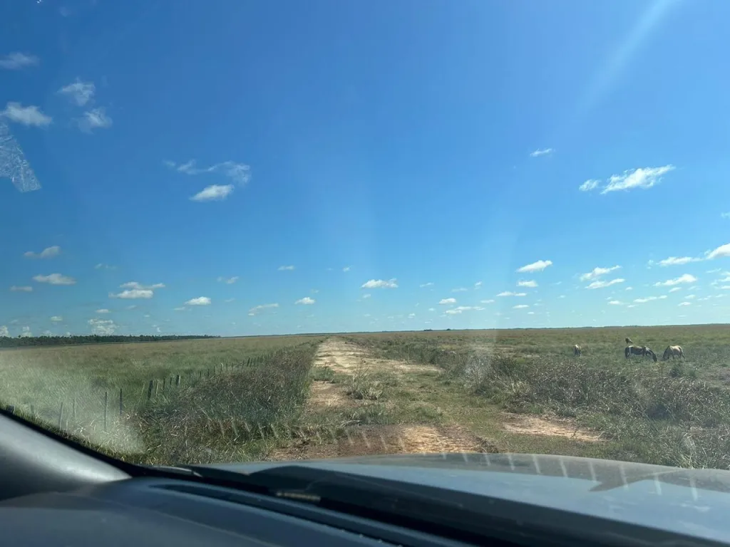Vendo Campo de 1.263 Hectáreas en Santa Rosa, Misiones - CLCS7375524 — foto 3