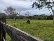 VENDO 15 HECTAREAS EN YAGUARON COD 3831
