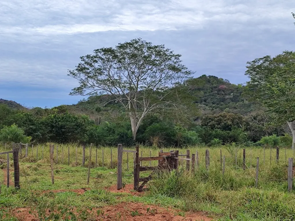 VENDO 15 HECTAREAS EN YAGUARON COD 3831 — foto 3