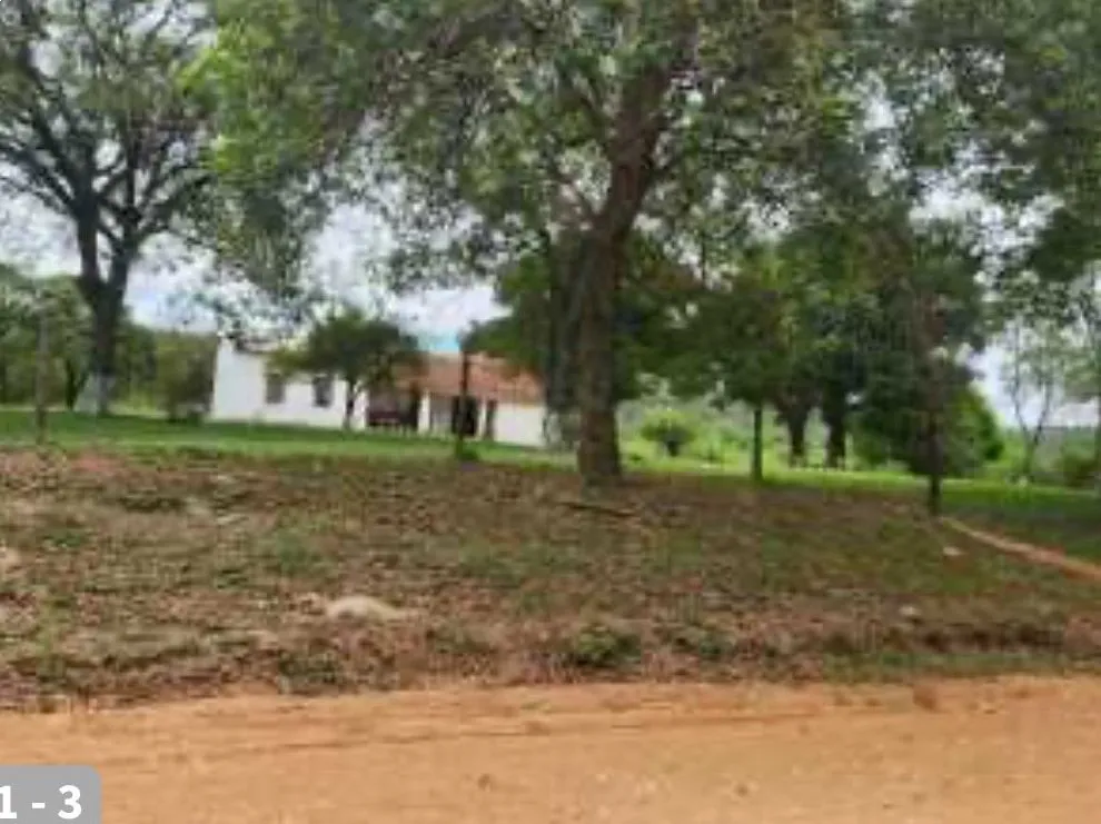 VENDO DOS TERRENOS EN CIERVO CUA — foto 2
