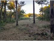🏡 Terreno en Limpio – 12x30 (360 m²)