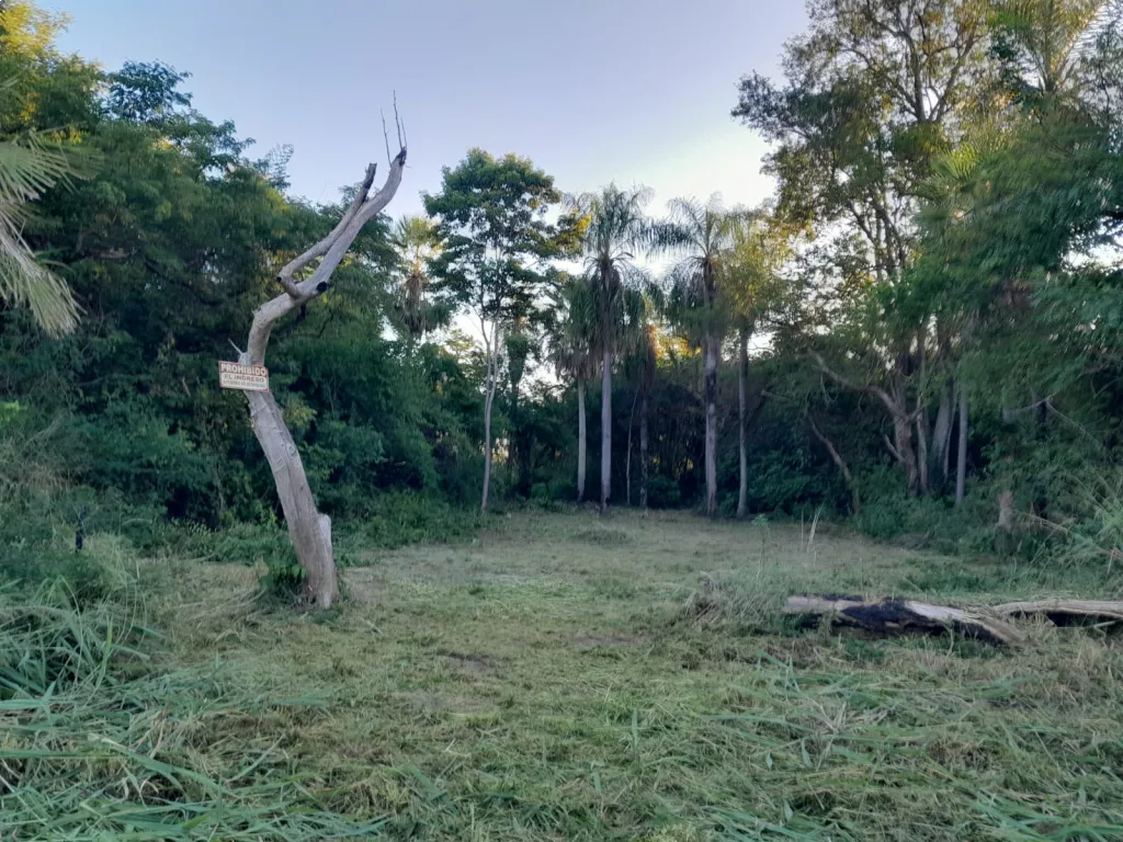 🏡 Terreno en Limpio – 12x30 (360 m²) — фото 2