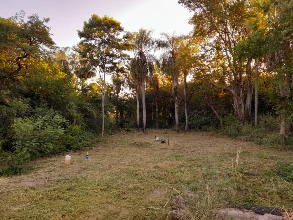 🏡 Terreno en Limpio – 12x30 (360 m²) — фото 3
