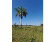 ✨EN VENTA AMPLIO TERRENO DE 1.200 M² EN SAN BER, A 600 MTS DE LA AV. GUILLERMO NAUMANN✨