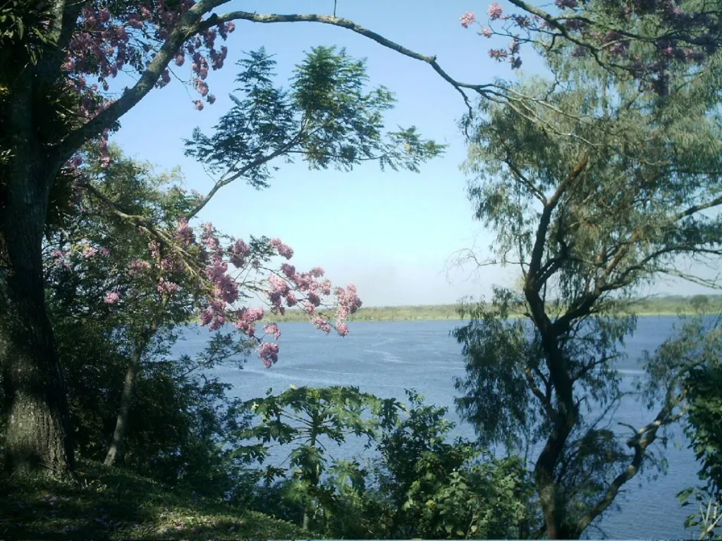 VENDO TERRENO ESTRATÉGICO CON COSTA SOBRE EL RÍO PARAGUAY – PUERTO PABLA, LAMBARÉ — foto 3