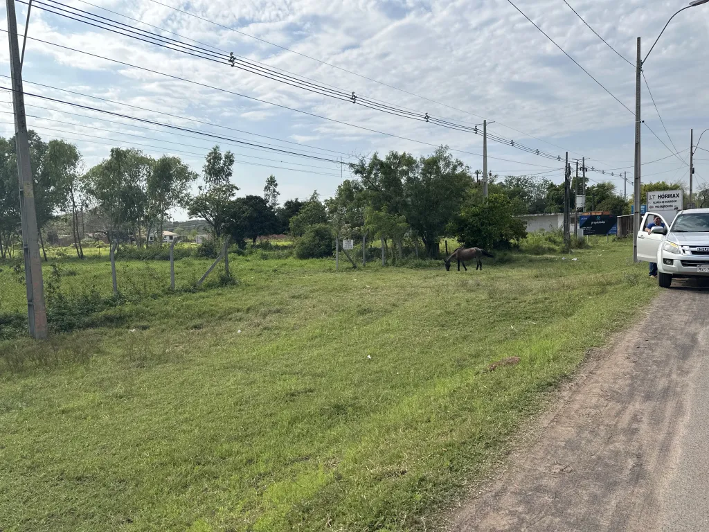 Vendo terreno 31x197 sobre ruta transchaco - Benjamin Aceval - Costa — foto 3
