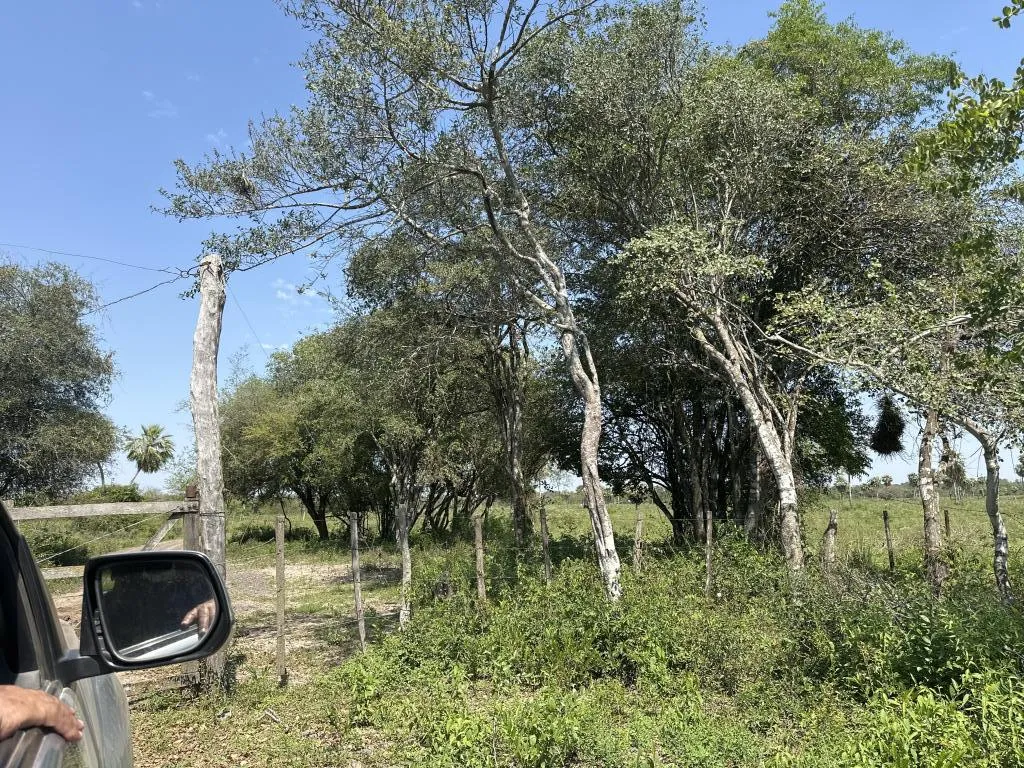 Vendo campo de 600x900mts en Benjamin Aceval - Barrio Pasito — foto 3