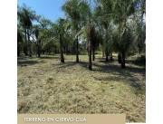 Vendo Terreno Zona Ciervo Cua San Bernardino