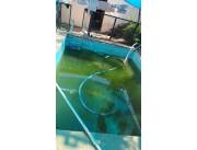 Limpieza y mantenimiento de piscinas